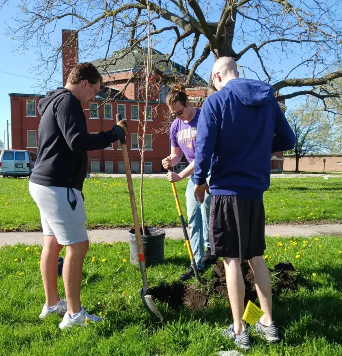 UNI students planting a tree