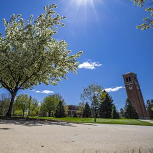 UNI campus