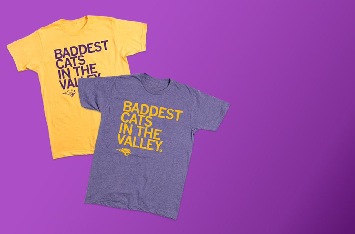Baddest Cats in the Valley t-shirts in purple and gold