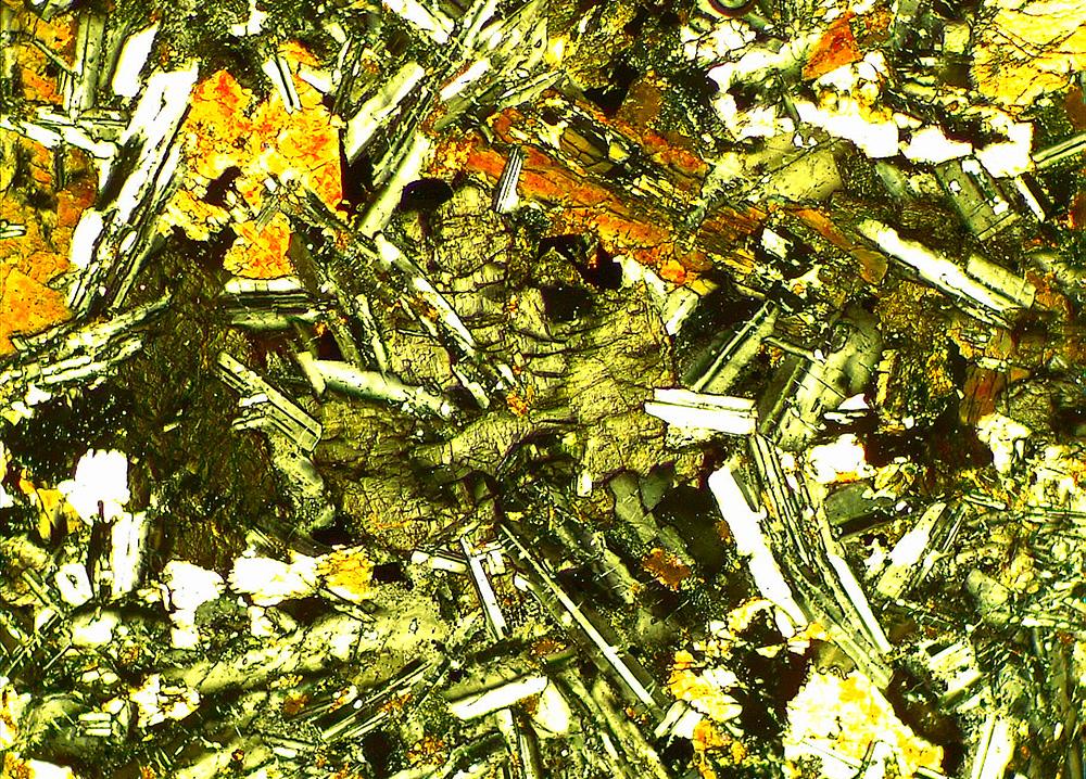 An image taken by UNI's new petrographic microscopes.