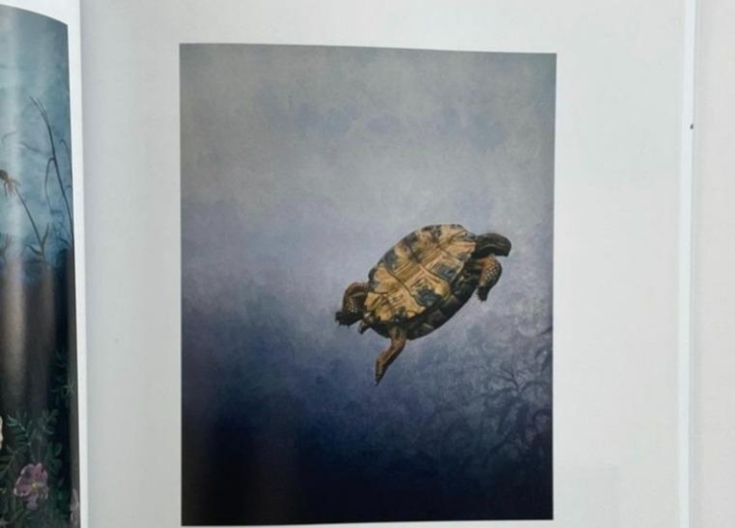Caylin Jayde's artwork in "New American Paintings"