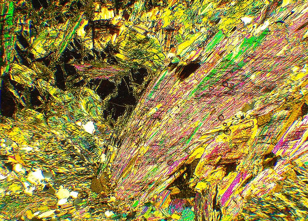 An image taken by UNI's new petrographic microscopes.