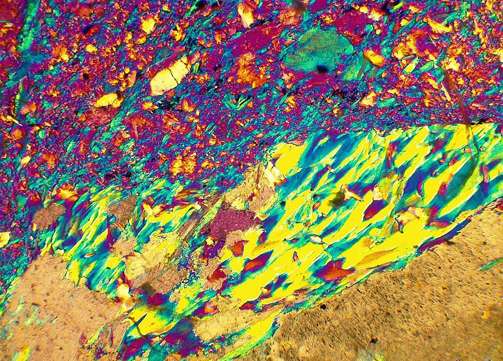 An image taken by UNI's new petrographic microscopes.