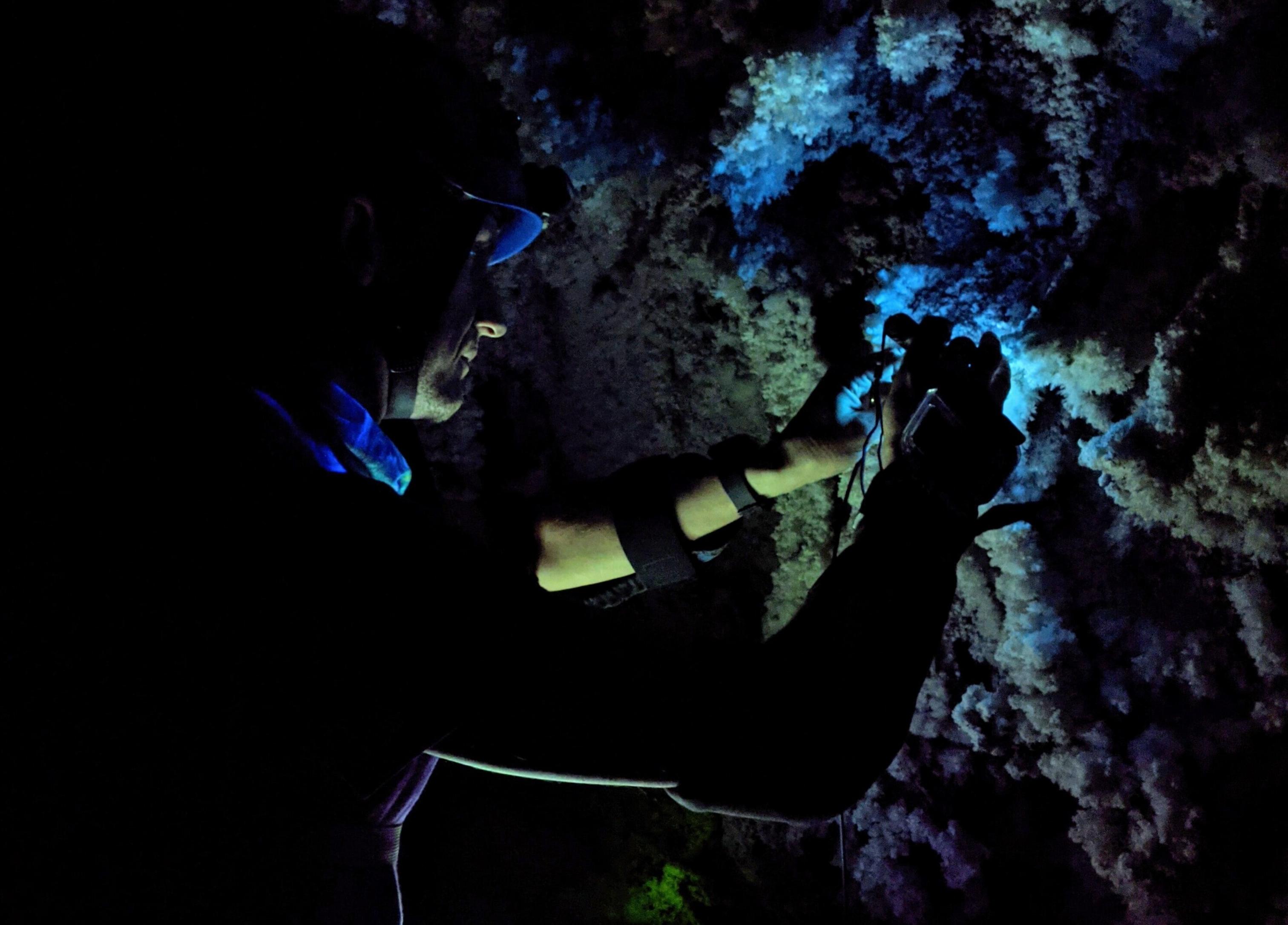 Exploring Wind Cave National Park