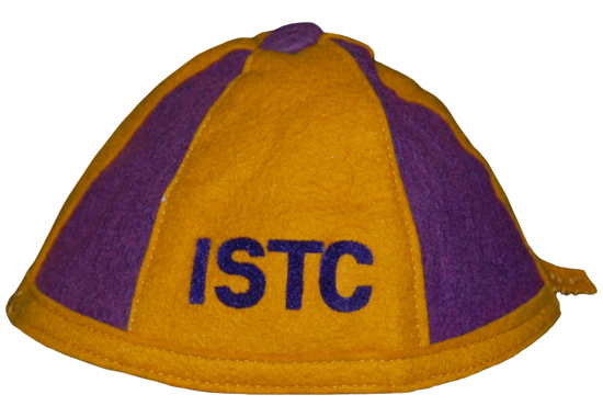 Purple & gold ISTC beanie