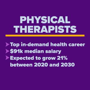 Physical Therapists