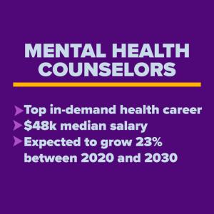 Mental Health Counselors