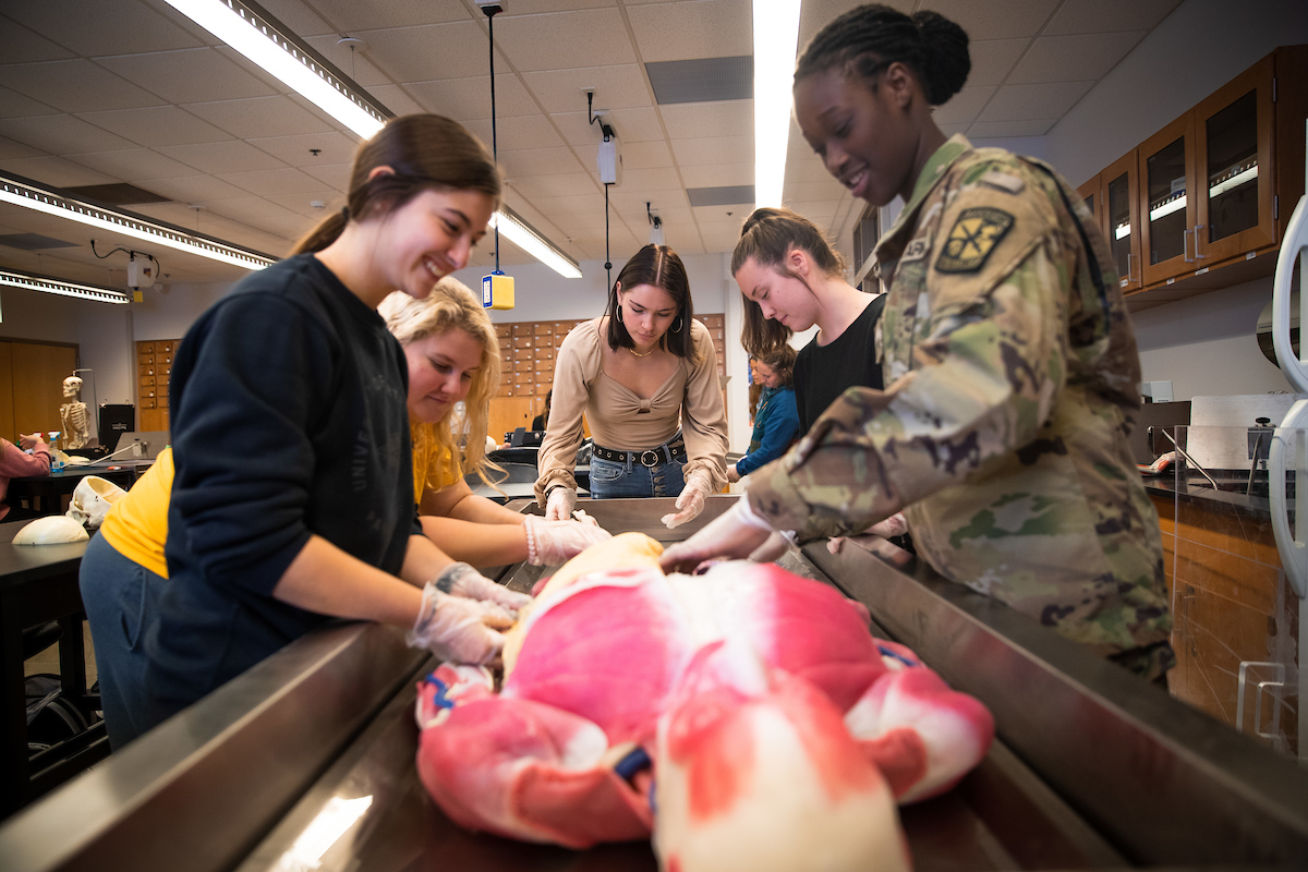 Students work with synthetic cadavers