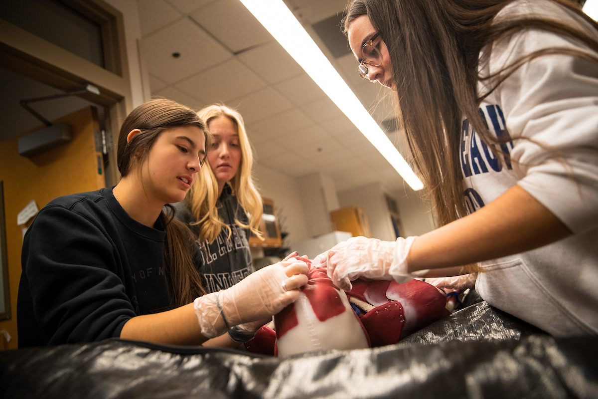 Students work with synthetic cadavers