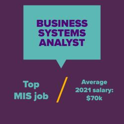 Business Systems Analyst