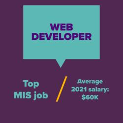 Web Developer