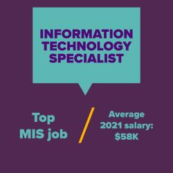 Information Technology Specialist