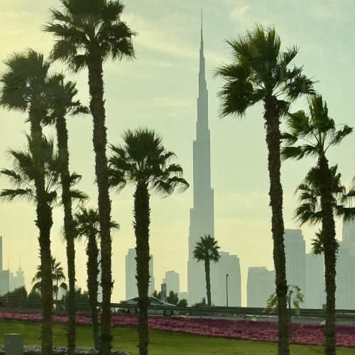  Burj Khalifa and palm trees. 