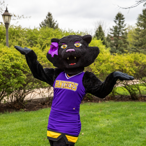 TK mascot