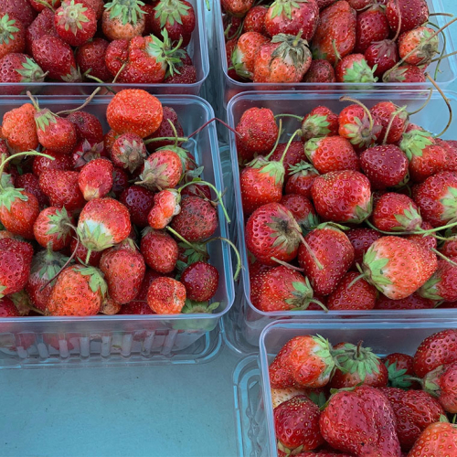 Strawberries in packages.