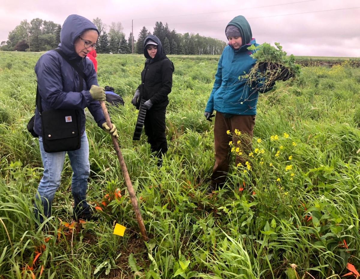 Union High School students transplant a flat of native prairie seedlings at Irvine Prairie near Dysart