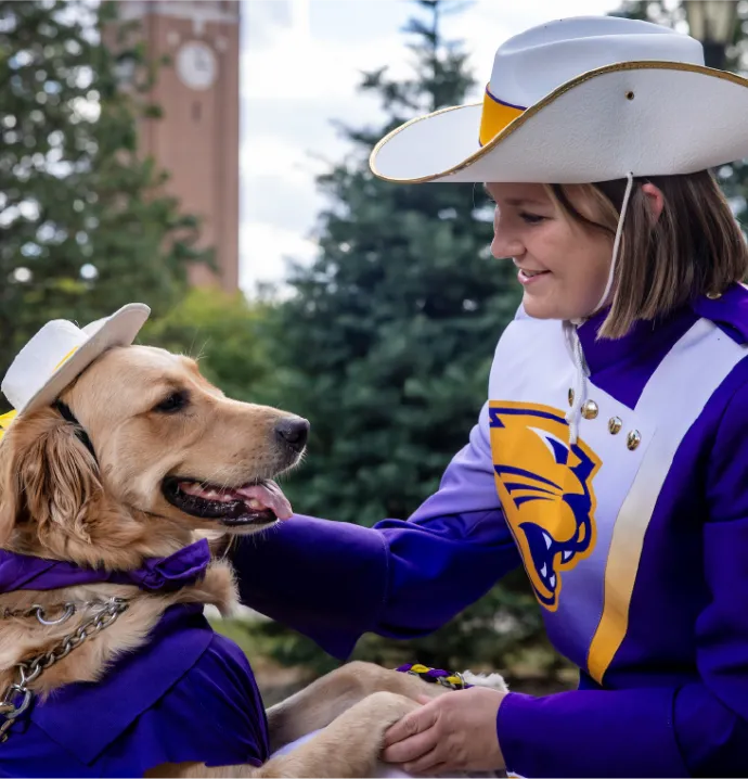 Purple and golden