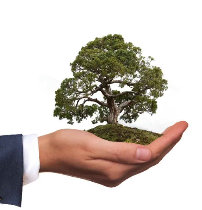 Business person with a tree in their hand