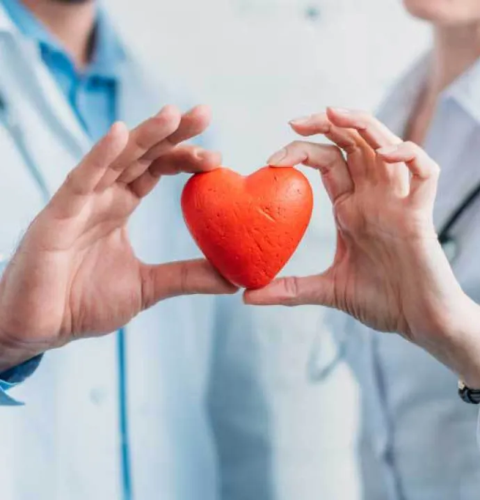 Doctors holding fake heart