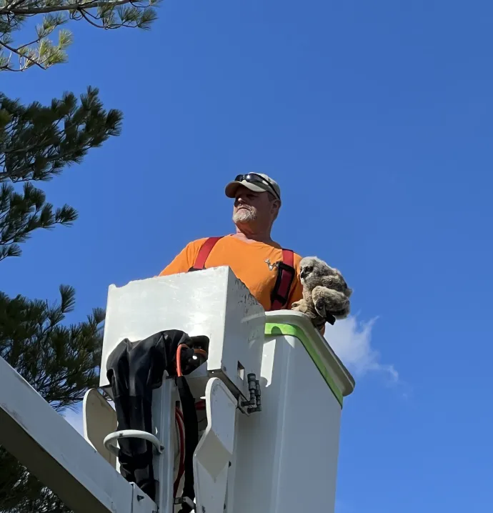 UNI facilities worker saving owlet