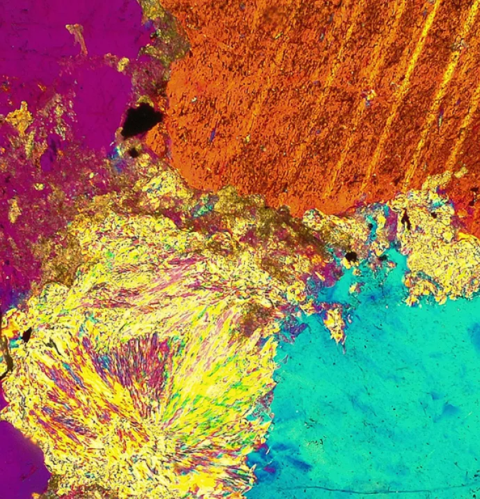 An image taken by UNI's new petrographic microscopes.
