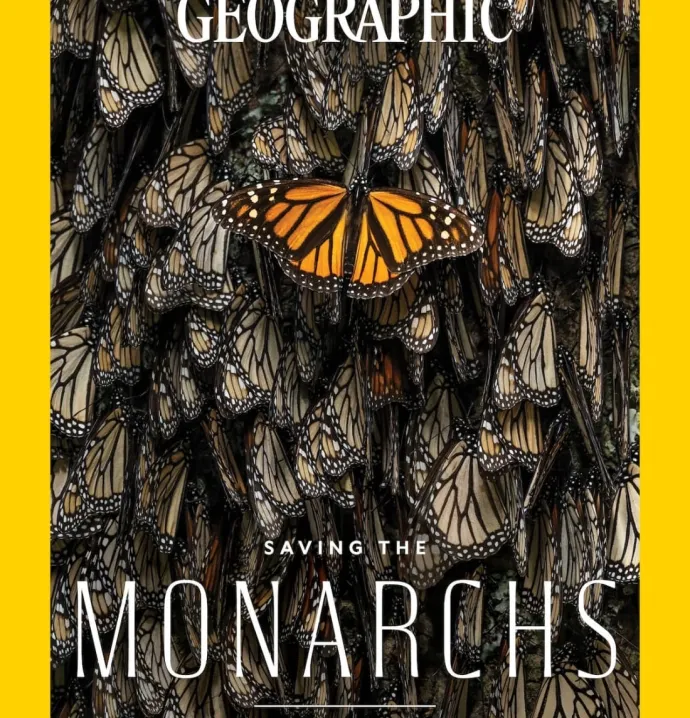 National Geographic "Saving the Monarchs"