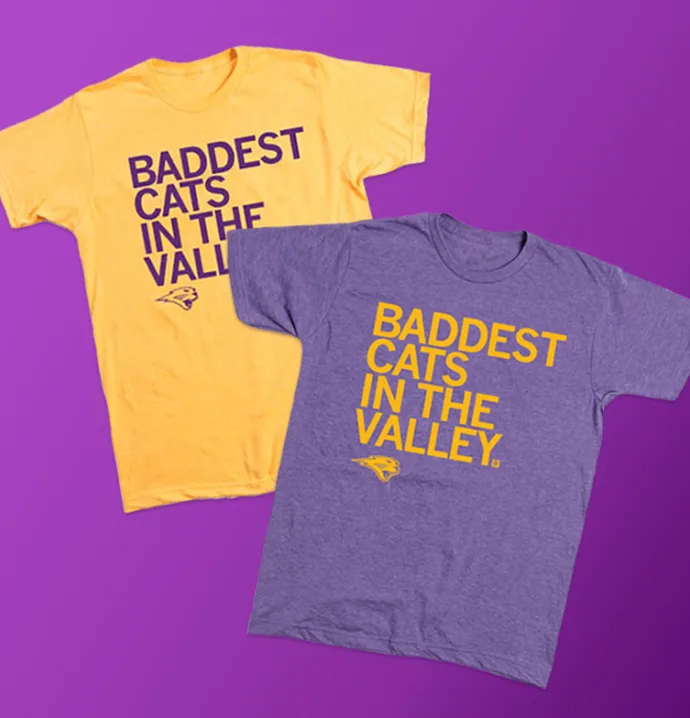 Baddest Cats in the Valley t-shirts in purple and gold