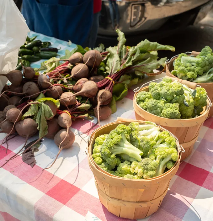 Baskets of vegetables on a red gingham tablecloth.